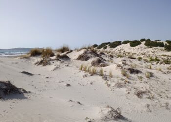 Avviso di condizioni meteo avverse per temperature massime molto elevate su tutta la Sardegna, valido fino alle 18.00 di domani 20 luglio 2025