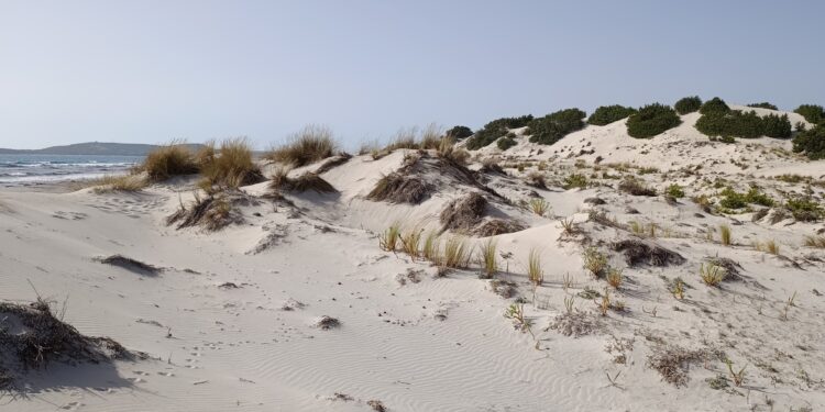 Avviso di condizioni meteo avverse per temperature massime molto elevate su tutta la Sardegna, valido fino alle 18.00 di domani 20 luglio 2025