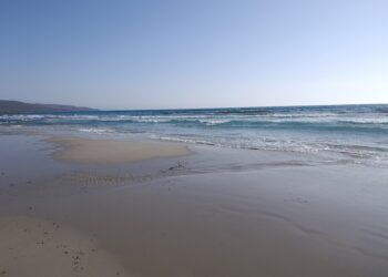 Nuovo avviso di condizioni meteo avverse per alte temperature valido dalle 10.00 del 23 luglio alle 18.00 del 24 luglio 2025