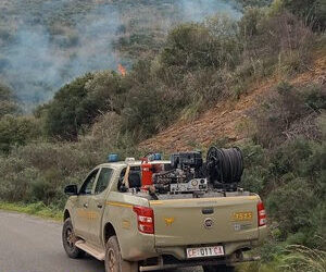 Incendi in Sardegna: già nove persone denunciate