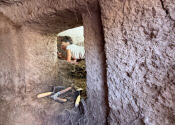 Bonorva: scoperte tre nuove domus de janas a Sant’Andrea Priu