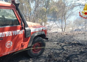 Orosei: incendio in località “Sos Alinos”