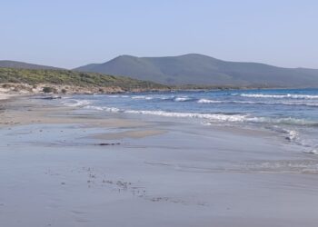 Nuovo avviso di condizioni meteo avverse per alte temperature valido dalle 10.00 alle 20.00 di lunedì 21 luglio 2025