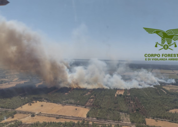 Incendi a Bortigali, Esporlatu, San Gavino Monreale, Arborea, Sinnai, Bono, Masullas, Uta, Oristano, Torpè e Gergei
