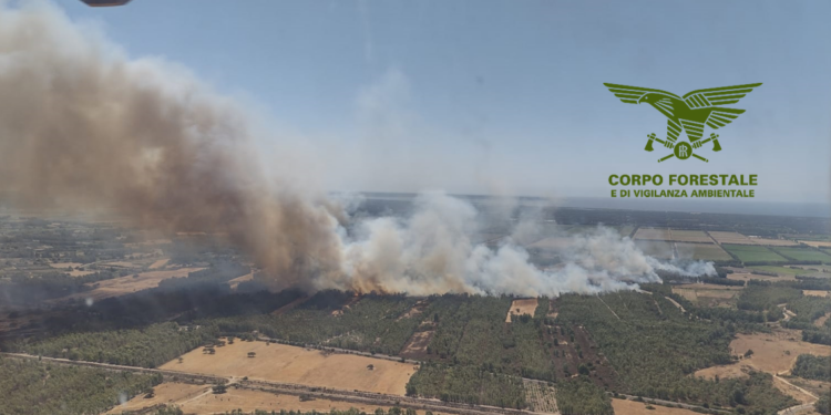 Incendi a Bortigali, Esporlatu, San Gavino Monreale, Arborea, Sinnai, Bono, Masullas, Uta, Oristano, Torpè e Gergei