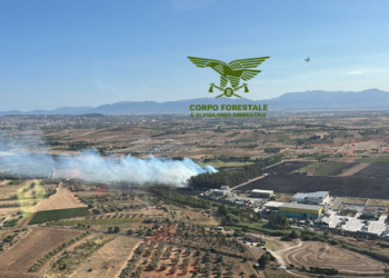 Incendi a Erula, La Maddalena, Olbia, Ozieri, Osini, Selargius, Decimoputzu, Esporlatu, Las Plassas, Ussana e Bono