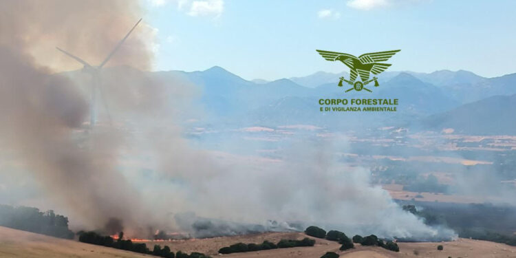 Incendi a Villanova Truschedu, Orroli e Musei