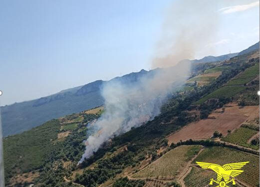 Incendio nelle campagne di Sedilo