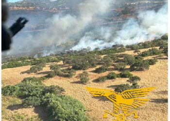Incendi a Nurri, Olbia e Osini