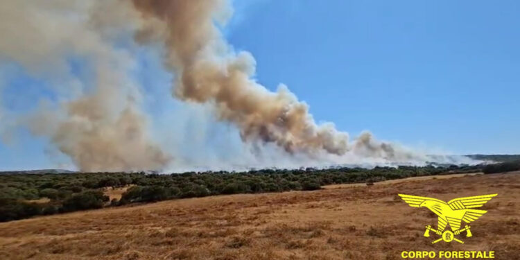 Due gravissimi incendi hanno interessato fino a tarda sera le campagne di Loculi e quelle tra Nulvi e Sedini