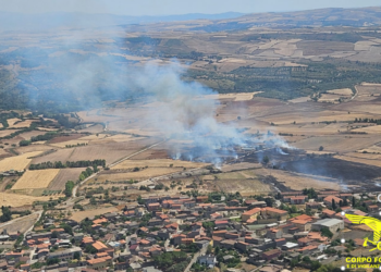 Incendi ad Ales e Gergei