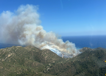 Incendio a Villasimius: Dario Giagoni (Lega) porta il caso in Parlamento