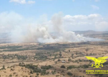 Incendi a Sindia, Sardara e Carbonia