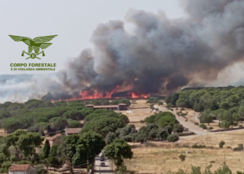 Incendi a Furtei, Nurri, Sanluri e Nuxis