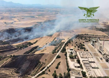 Incendi a Siurgus Donigala, Nuraminis, Maracalagonis, Sestu, Serramanna e Perfugas