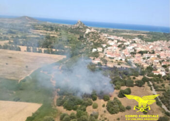 Incendi ieri a Olbia, Luras, Posada, Assemini e Bonorva