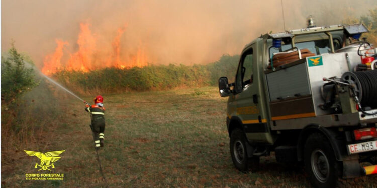 Incendi a Villasalto e Usini