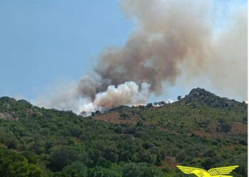 Incendi Ortacesus, Loiri Porto San Paolo e Tula