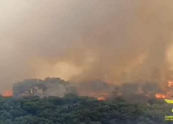 Incendi ad Ales, Codrongianos, Carloforte, Senorbì, Jerzu, Assemini e San Giovanni Suergiu