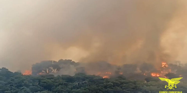Incendi ad Ales, Codrongianos, Carloforte, Senorbì, Jerzu, Assemini e San Giovanni Suergiu