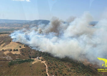 11 Incendi in Sardegna domenica 6 luglio, 3 hanno richiesto l’intervento aereo sia con velivoli regionali che nazionali