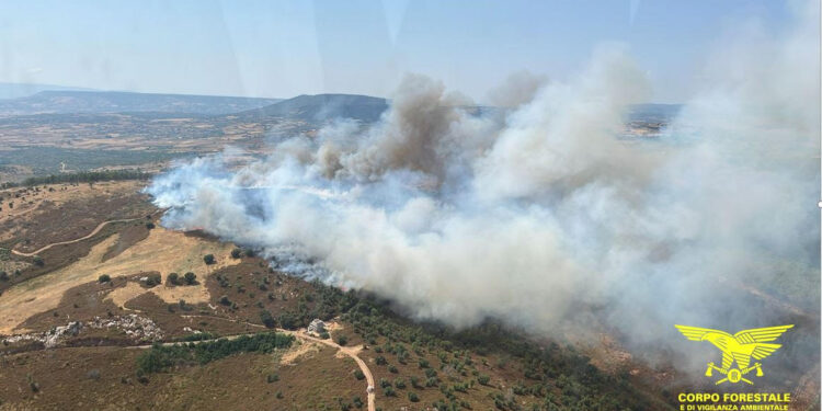 11 Incendi in Sardegna domenica 6 luglio, 3 hanno richiesto l’intervento aereo sia con velivoli regionali che nazionali