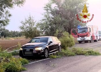 SS 197, tra Villasanta e Furtei: un ramo è caduto su un’auto