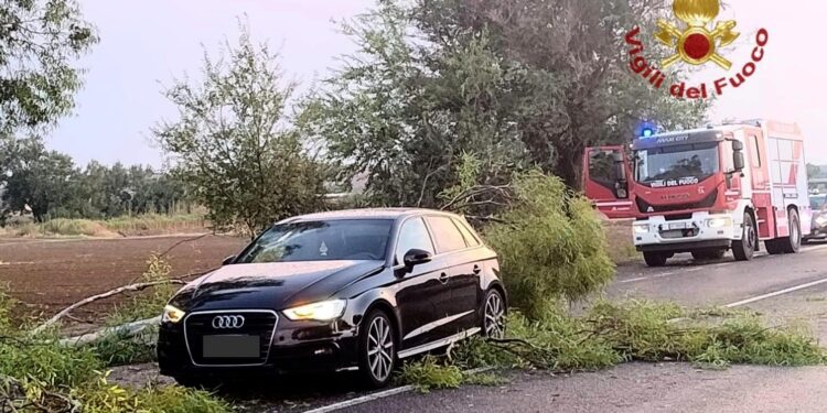 SS 197, tra Villasanta e Furtei: un ramo è caduto su un’auto