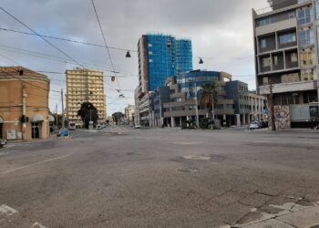 Tutela e prevenzione del benessere animale e ambientale, due protocolli d’intesa a Cagliari