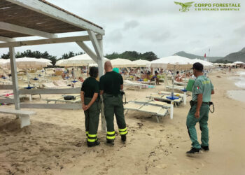 Nelle spiagge del Sarrabus il Corpo forestale ha rimosso 300 ombrelloni abusivi e ha elevato 15.000 euro di sanzioni