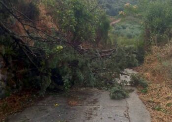 Tromba d’aria e grandine a Siligo, ingenti i danni