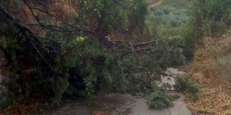 Tromba d’aria e grandine a Siligo, ingenti i danni