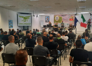 Formazione degli operatori AIB: avviato il percorso per i primi 94 operai assunti dall’Agenzia Forestas