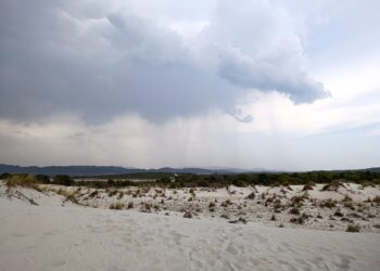 Nuovo avviso di allerta meteo per rischio idrogeologico per temporali