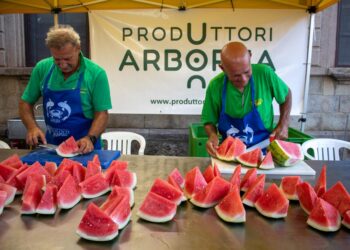 Oltre 3mila persone alla 1ª rassegna “Terra e Mare di Arborea”