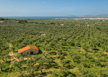 Le aziende della famiglia Fois di Alghero hanno fatto incetta di premi al WineHunter 2025