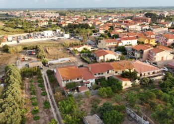 Festa dell’Olio 2025: Riola Sardo celebra il successo della prima edizione