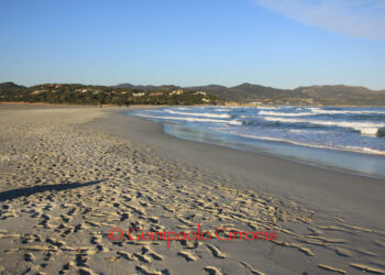 Il bilancio dell’attività di prevenzione e tutela del territorio svolta dall’Ispettorato Forestale di Cagliari a Ferragosto