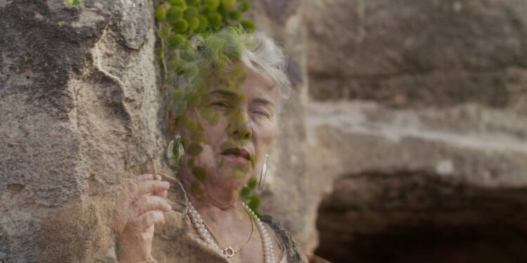 Il programma della festa di Nostra Signora di Tergu