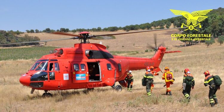Agli arresti domiciliari un soggetto raggiunto da gravi indizi di colpevolezza in relazione ad una pluralità di incendi dolosi