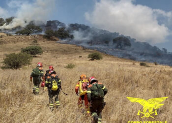 Incendi a Santadi e Bari Sardo