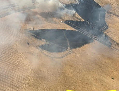 Incendi a Ozieri e Sagama