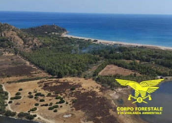 Incendi a Muravera, Orgosolo e Villa Verde