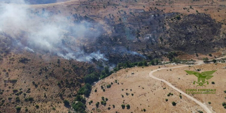 Incendi ad Arzana e Luras