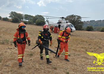 Sono stati 7 gli incendi sviluppatisi oggi sul territorio regionale, 1 ha richiesto l’intervento del mezzo aereo della flotta regionale a Orgosolo