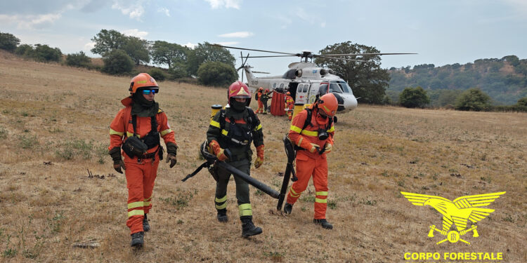 Sono stati 7 gli incendi sviluppatisi oggi sul territorio regionale, 1 ha richiesto l’intervento del mezzo aereo della flotta regionale a Orgosolo