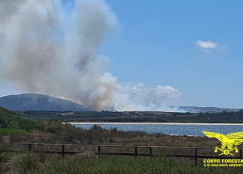 Il Corpo forestale sta intervenendo su due incendi, divampati nel primo pomeriggio, a Stintino e Uta