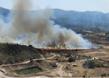 Sono 16 gli incendi segnalati ieri in Sardegna