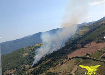Incendio nelle campagne di Orani