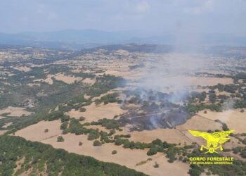 19 incendi oggi nell’Isola, 2 hanno richiesto l’intervento dei mezzi aerei della flotta regionale